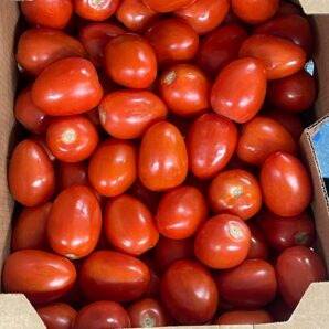 Carton Tomate